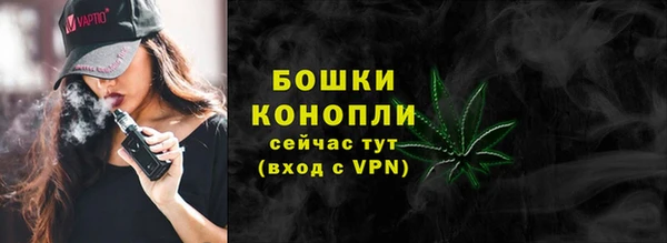 ПСИЛОЦИБИНОВЫЕ ГРИБЫ Белокуриха