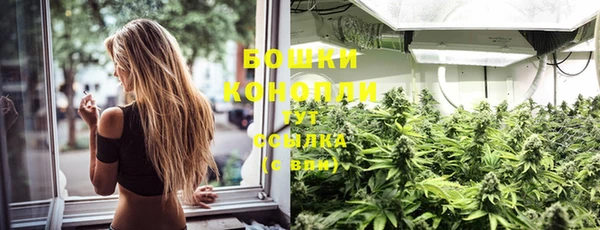 мдпв Богородицк