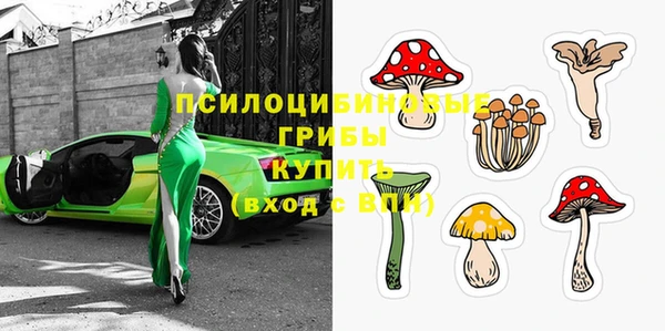 дживик Беломорск