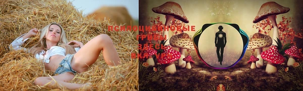 дурь Богданович